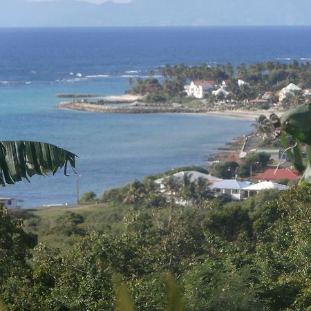 Villa Alizea Capesterre Bagian luar foto