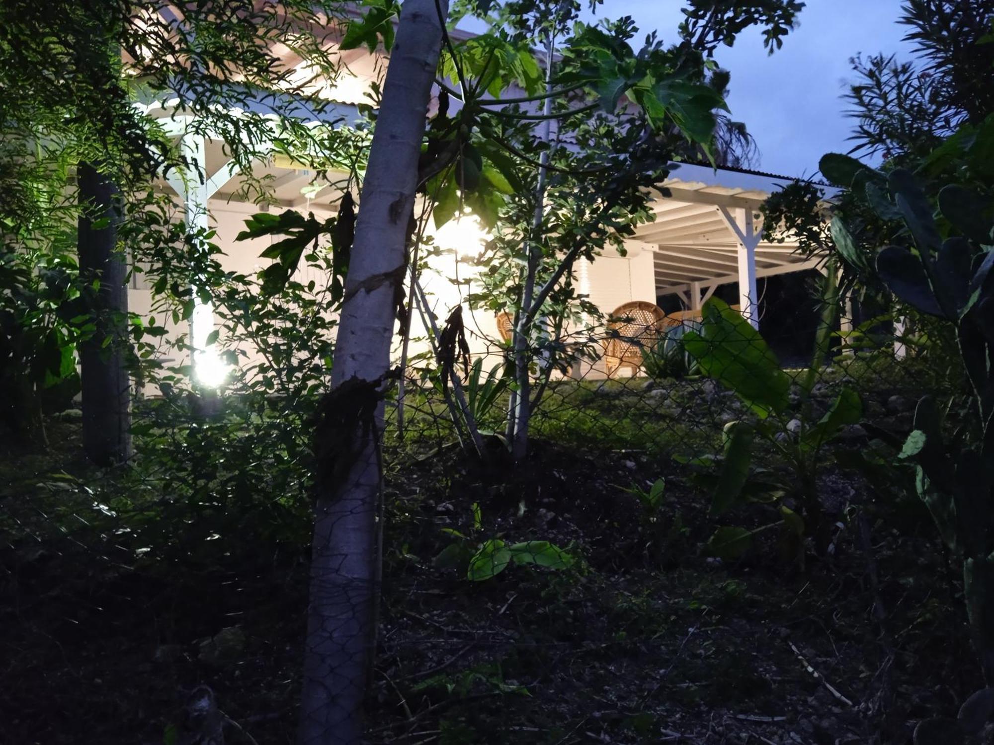 Villa Alizea Capesterre Bagian luar foto