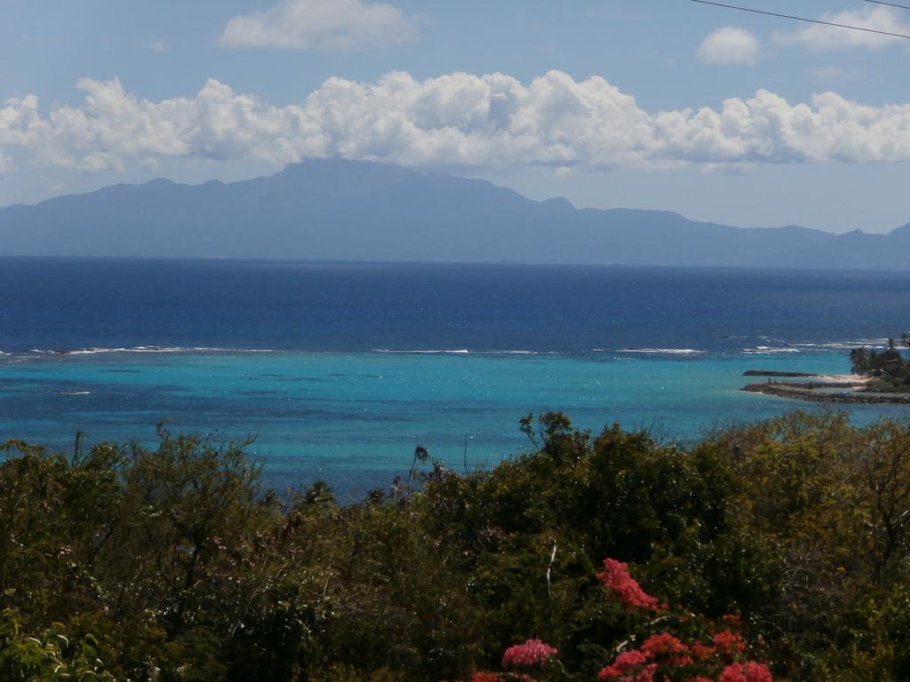 Villa Alizea Capesterre Bagian luar foto